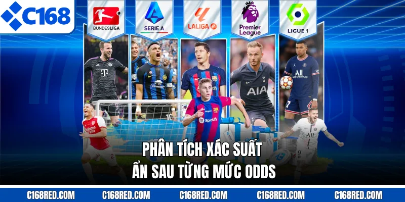 Phân tích xác suất ẩn sau từng mức odds